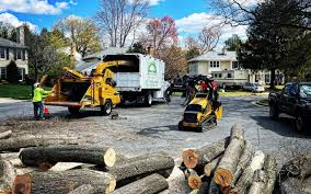 Best Commercial Tree Services  in Highlands, NC